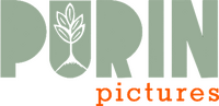 Logo - Purin Pictures