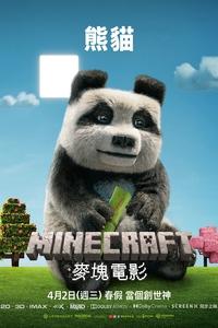 Poster 157