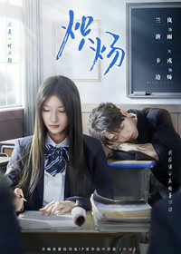 Poster for 炽炀