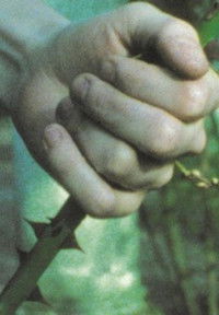 Poster for After The Break