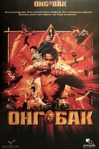 Poster 41