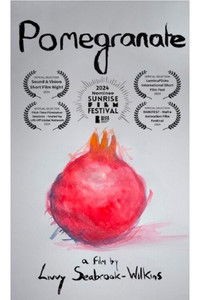 Poster for Pomegranate