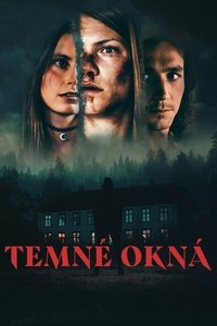 Poster 13