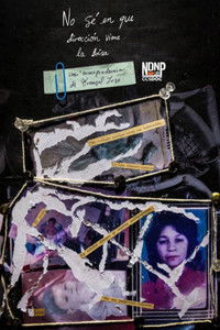 Poster for No sé en que dirección viene la brisa