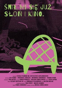 Poster for Ravik the Steppe Turtle