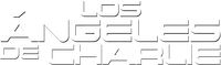 Logo 25