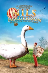 Le merveilleux voyage de Nils Holgersson au pays des oies sauvages affiche du film