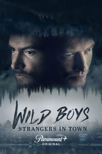 Poster for Wild Boys: Strangers in Town