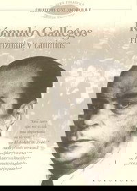 Poster for Rómulo Gallegos. Horizons and pathways