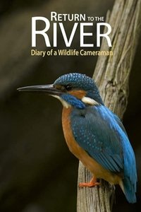 Return to the River