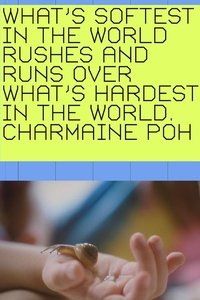 What's softest in the world rushes and runs over what's hardest in the world.