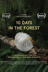 Poster for 10 Days in the Forest