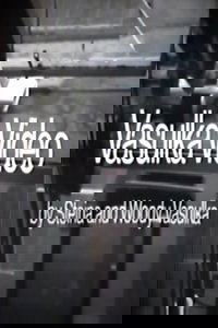 Vasulka Video