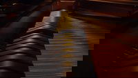Backdrop 9