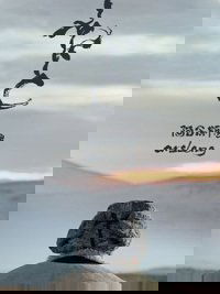 Poster for Arsleng