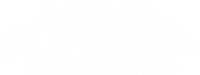 Logo 0