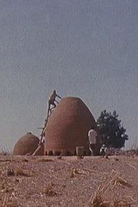 Poster for Bawra