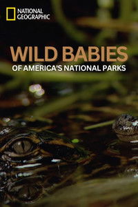 Poster for Wild Babies of America's National Parks