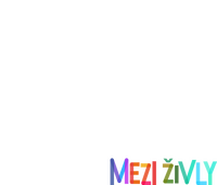 Logo 13