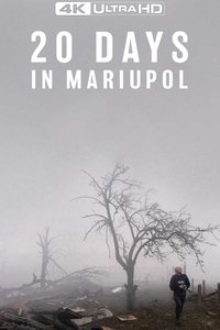 Poster 16