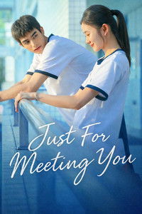 Poster for Just For Meeting You