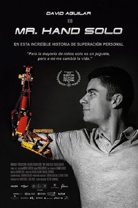 Poster for Mr. Hand Solo