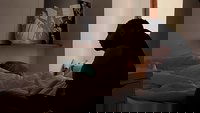 Backdrop 7