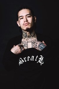 Profile of YZERR