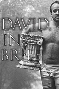 Poster for David, In Brief