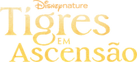 Logo 13