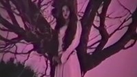 Backdrop 9