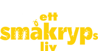 Logo 13