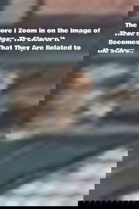 The More I Zoom in on the Image of These Dogs, The Clearer it Becomes That They Are Related to the Stars.