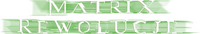 Logo 13
