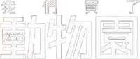 Logo 6