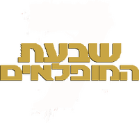 Logo 24
