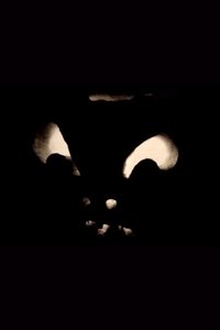 Poster for Jack-O-Lanterns