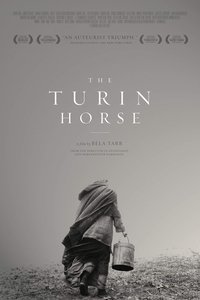 Poster 17