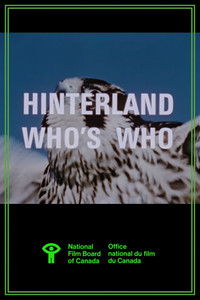 Poster for Hinterland Who's Who: Peregrine Falcon