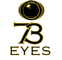 73 Eyes
