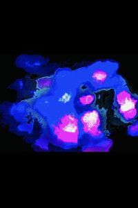 Poster for MIDNIGHT BLISS