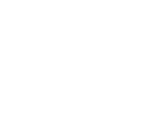 Logo 85