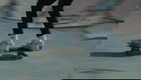 Backdrop 5