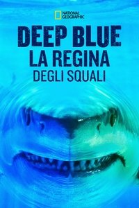 Poster 6