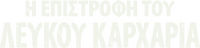 Logo 10