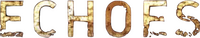 Logo 1