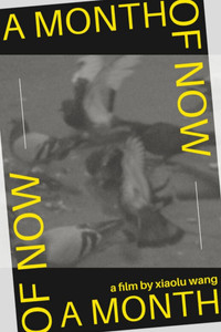 Poster for A Month of Now