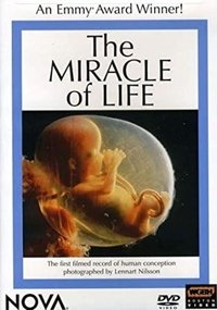 Poster for The Miracle of Life