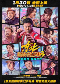 Poster for 东北警察故事3