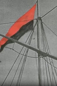 Poster for Flags of Propaganda